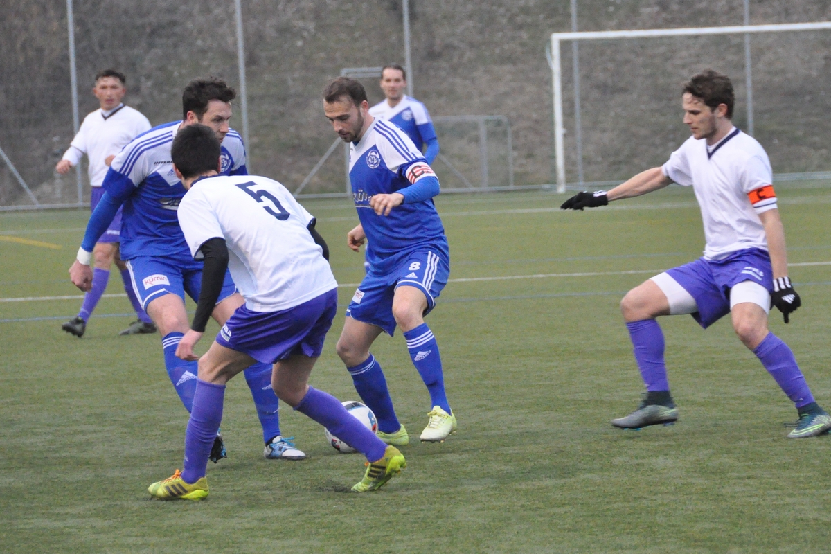 Hochdorf mit Achtungserfolg gegen Ascona (Bild: Rita Rölli).