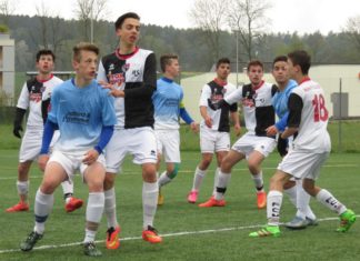 Sempachersee-Teams zurück auf der Siegesstrasse