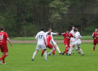 Dagmersellen mit Revanche gegen Wolhusen