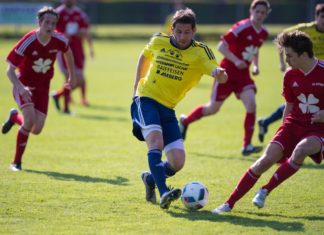 Die 2. Liga regional künftig mit 14 Teams