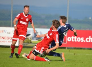 Nottwil verliert Auftaktspiel gegen Willisau