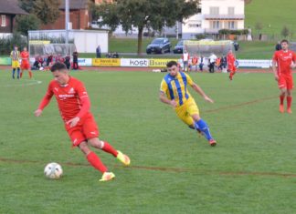 Küssnacht: Ligaerhalt aus eigener Kraft