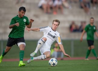 Luzerner SC schafft den Aufstieg