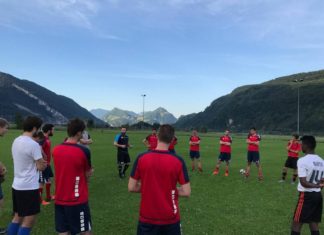 Starke Alpnacher Reaktion