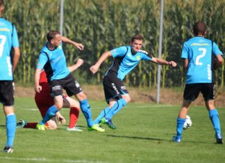 Algro festigt Leaderposition