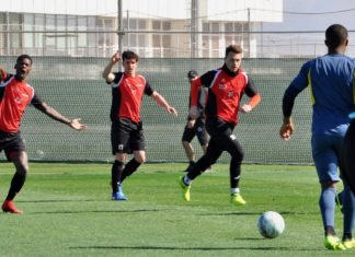 Cham siegt gegen KFCO Beerschot Wilrijk