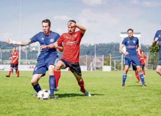 Perlen siegt gegen Abstiegskonkurrenten Hochdorf