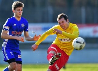 Goldau gewinnt auch im Cup gegen Hochdorf