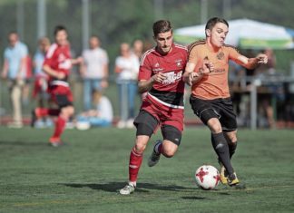 Kollektiver Tiefschlaf der Sinser