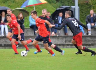 Verdienter Perler-Punktgewinn gegen Absteiger Sursee!