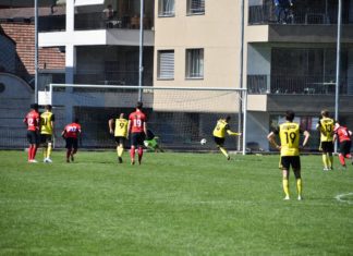 Altdorf will Lauf gegen Sursee fortsetzen