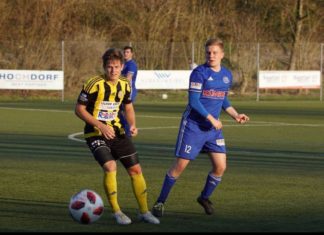 Levin Weibel fühlt sich wohl in Hochdorf