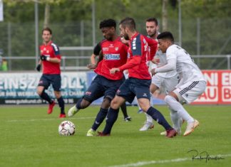 Cham bodigt Basler Nachwuchs