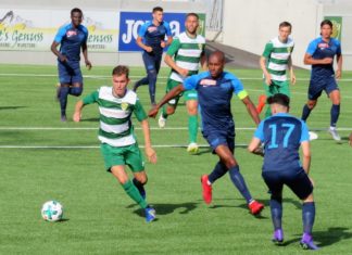 Kriens mit guten Leistungen gegen Basel und Zürich