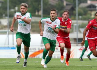 Weitere Verstärkungen für Emmenbrücke