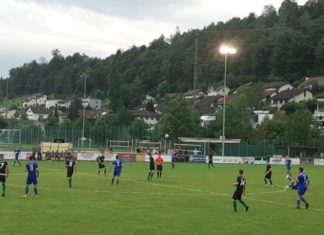 Sins mit Cup-Out gegen Ebikon