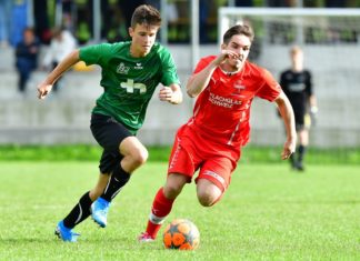 Schwyz mit einem Stängeli