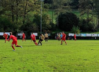 Goldau und Südstern mit Punkteteilung