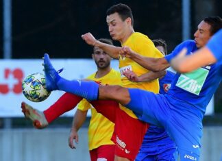 Goldau gewinnt auch gegen Hergiswil