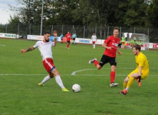 Brunner siegen zum Auftakt in Willisau