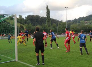 Nottwil mit Kampfmoral zum Ausgleich