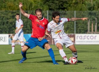 Cham besiegt Bellinzona – erstes Tor für Siegrist