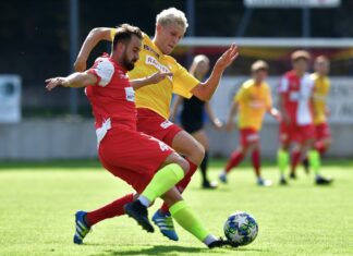 Verdienter Punktgewinn für Goldau gegen Solothurn