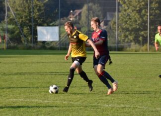 Adligenswil mit gerechtem Remis nach Kampf gegen Alpnach