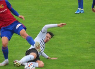 Cham holt in Basel einen Punkt