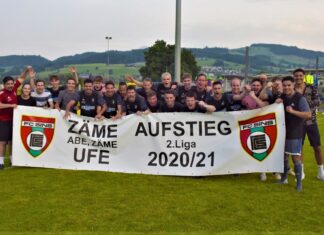 Sins siegt im Derby: Aufstieg in die 2. Liga