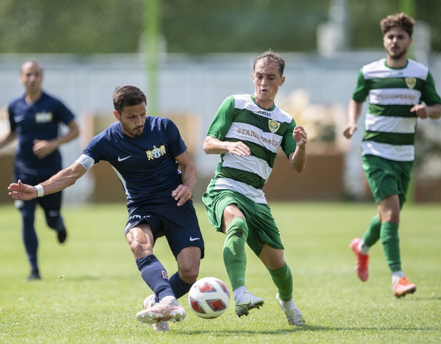 fczvs2669-044f16fe6e10