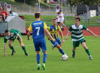 Küssnacht siegt bei Ligaauftakt gegen Steinhausen