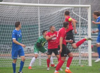 Littau siegt verdient gegen Willisau