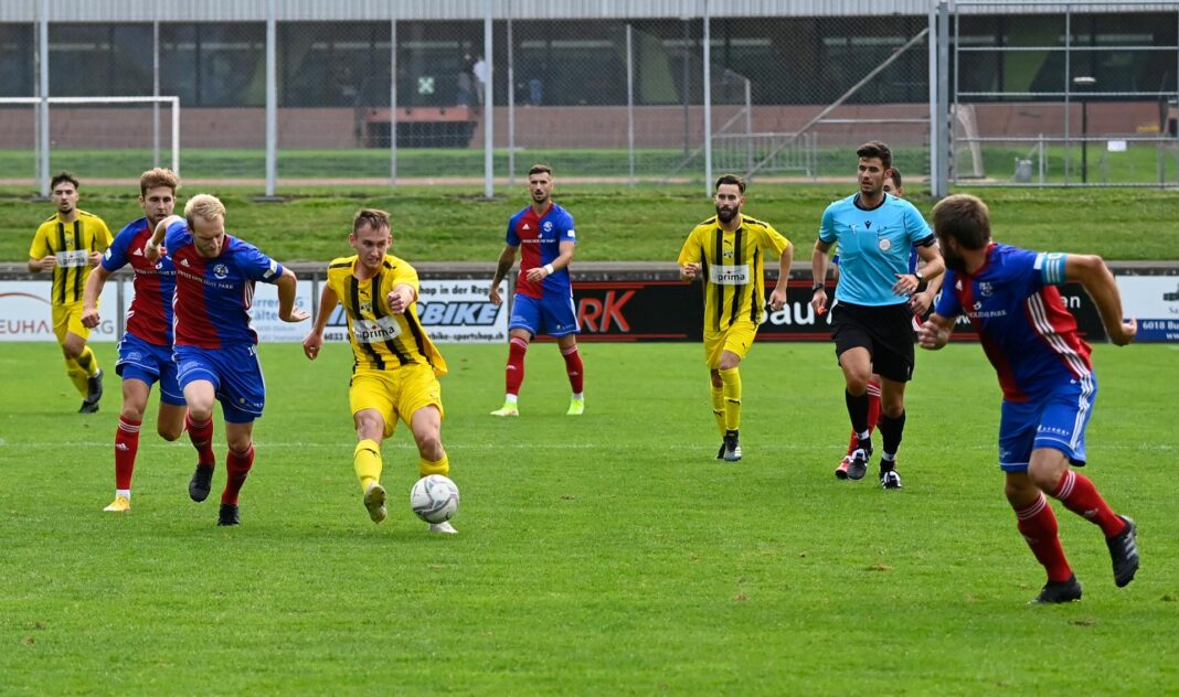 Emmenbrücke-BrunnenMesicWiget