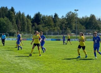 Team Sempachersee C siegt klar gegen die FCL Frauen U17
