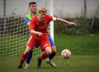 Schwyz verliert deutlich gegen Steinhausen