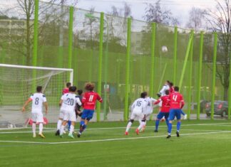 Cham verliert in Zürich