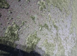 Vandalismus: Buochser Kunstrasen beschädigt