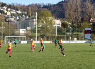 Ebikon verliert gegen Leader Horw