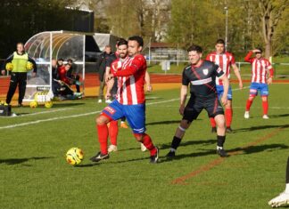 Rotkreuz mit drittem Innerschweizer-Derbysieg gegen Sursee