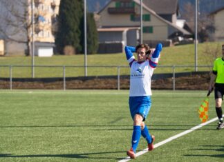 Aegeri siegt in Unterzahl gegen Willisau