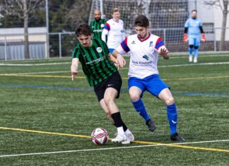 Effizientes Ägeri bezwingt trägen Luzerner SC