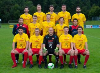 Goldau III: Ein Sieg des des Willens