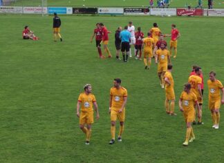 Horw geht als Gruppensieger in die Aufstiegsspiele