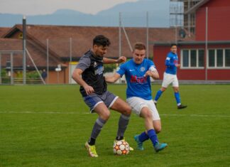 Sins siegt gegen Hochdorf