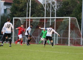 Zell gewinnt letztes Heimspiel der Saison