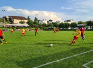 Perlen-Buchrain siegt – Goldau steigt ab