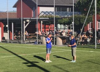 Sins siegt im letzten Heimspiel gegen Sempach