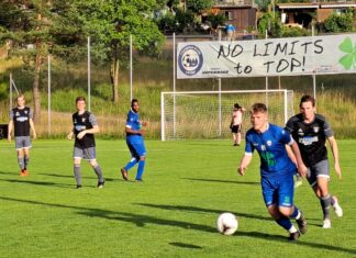 Littau siegt gegen Sins und sichert sich dritten Schlussrang