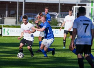 Hochdorf bleibt ungeschlagen gegen die Aufsteiger